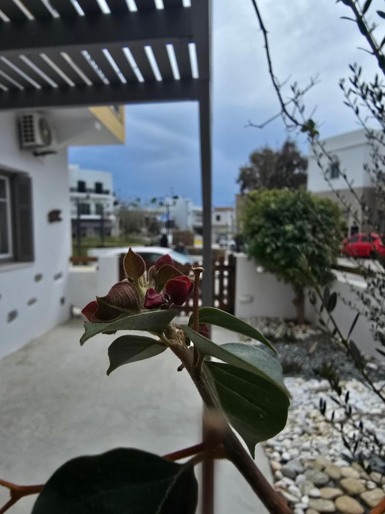 The Garden House Villa Tinos Exterior photo