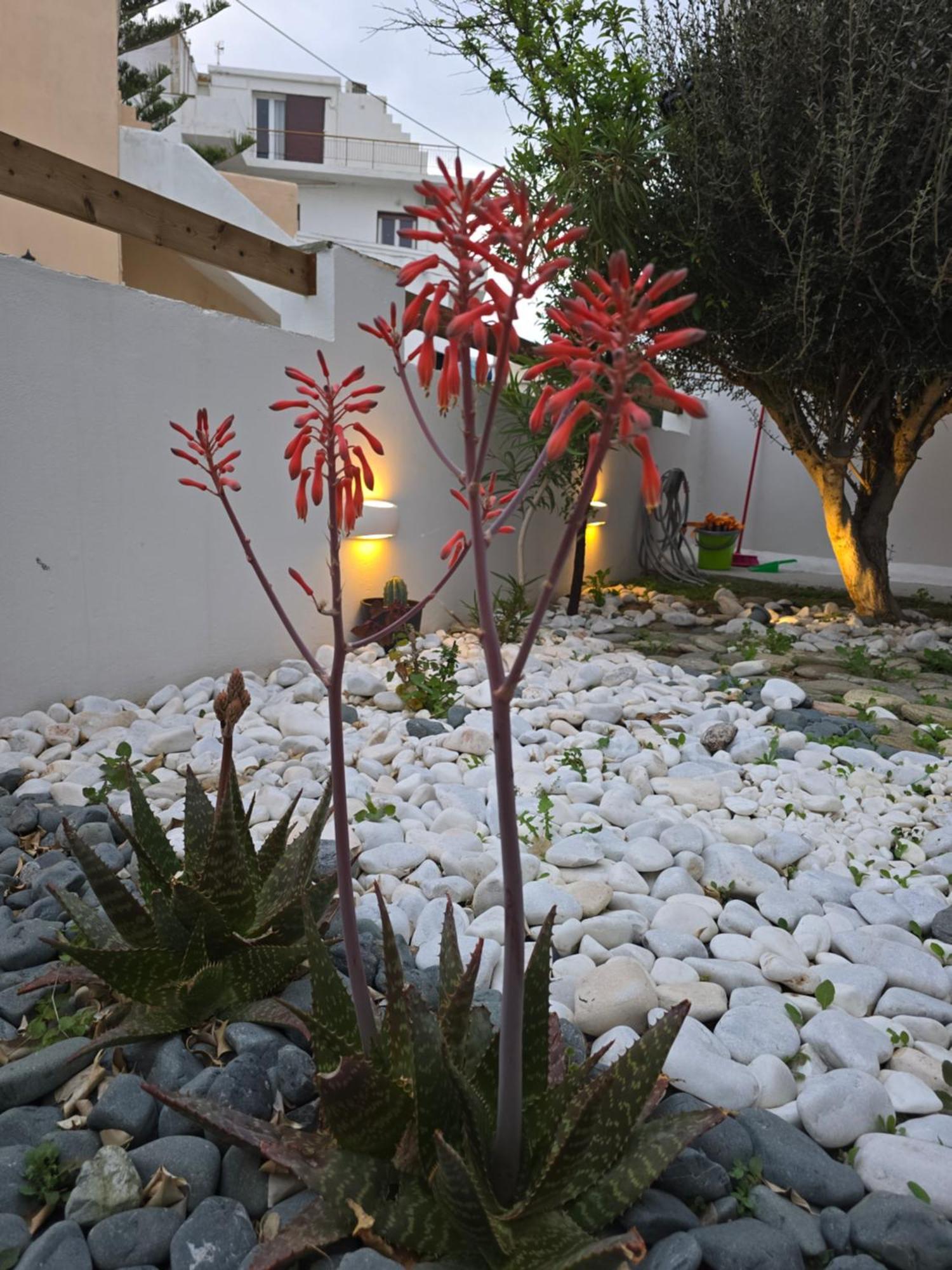The Garden House Villa Tinos Exterior photo